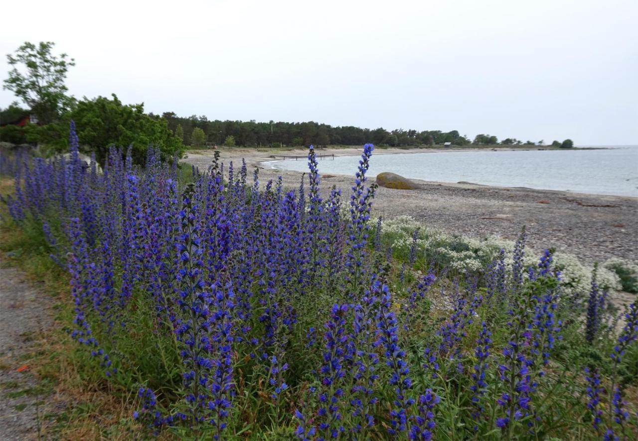 1A, Stuga Med 50M Till Strand Villa Byxelkrok Dış mekan fotoğraf